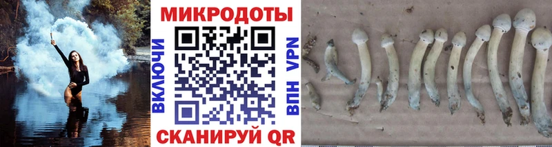 Псилоцибиновые грибы GOLDEN TEACHER Адыгейск